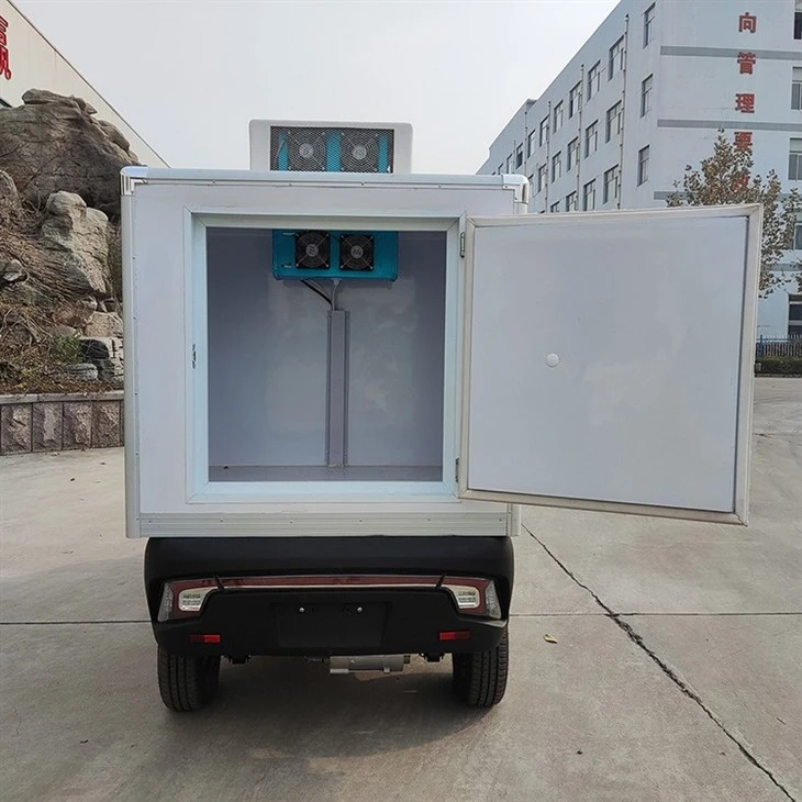 Ice Mini Van Electric Motorcycle Cargo Trailer EU Standard Truck With Freezer
