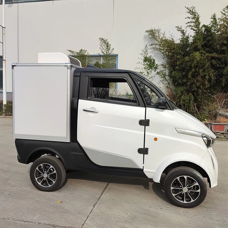 Ice Mini Van Electric Motorcycle Cargo Trailer EU Standard Truck With Freezer